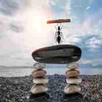 精‍准​自​动​化‌设‍备‍有﻿限‍公​司‍